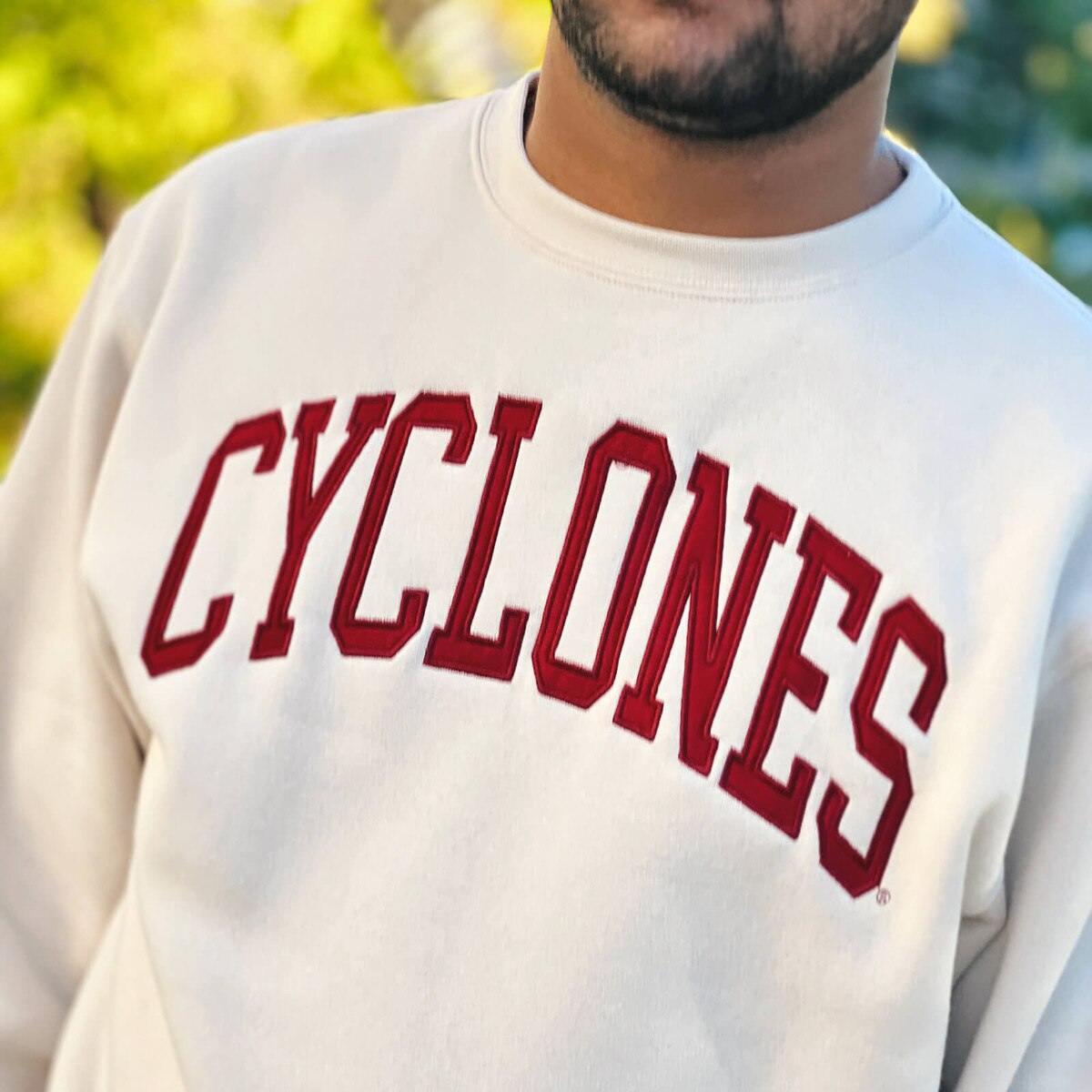 ZooZatz Cyclones Sand Crewneck